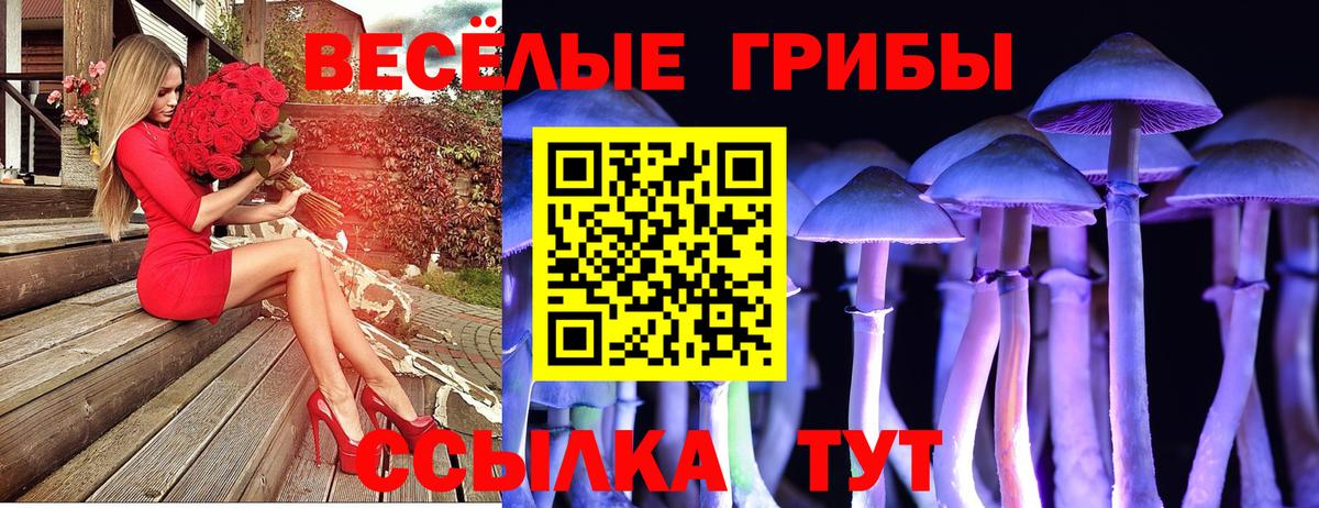 Галлюциногенные грибы мухоморы Дмитров