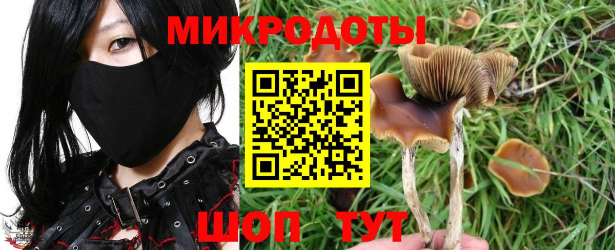 Галлюциногенные грибы Magic Shrooms  Псилоцибиновые грибы Cubensis  Вход с VPN  Дмитров 