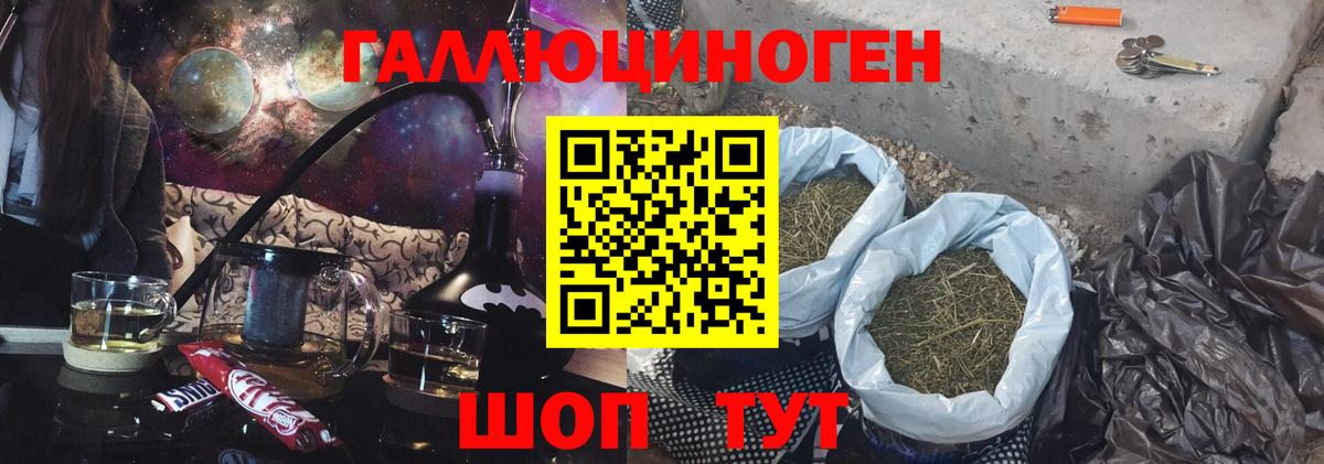 Гашиш Дмитров
